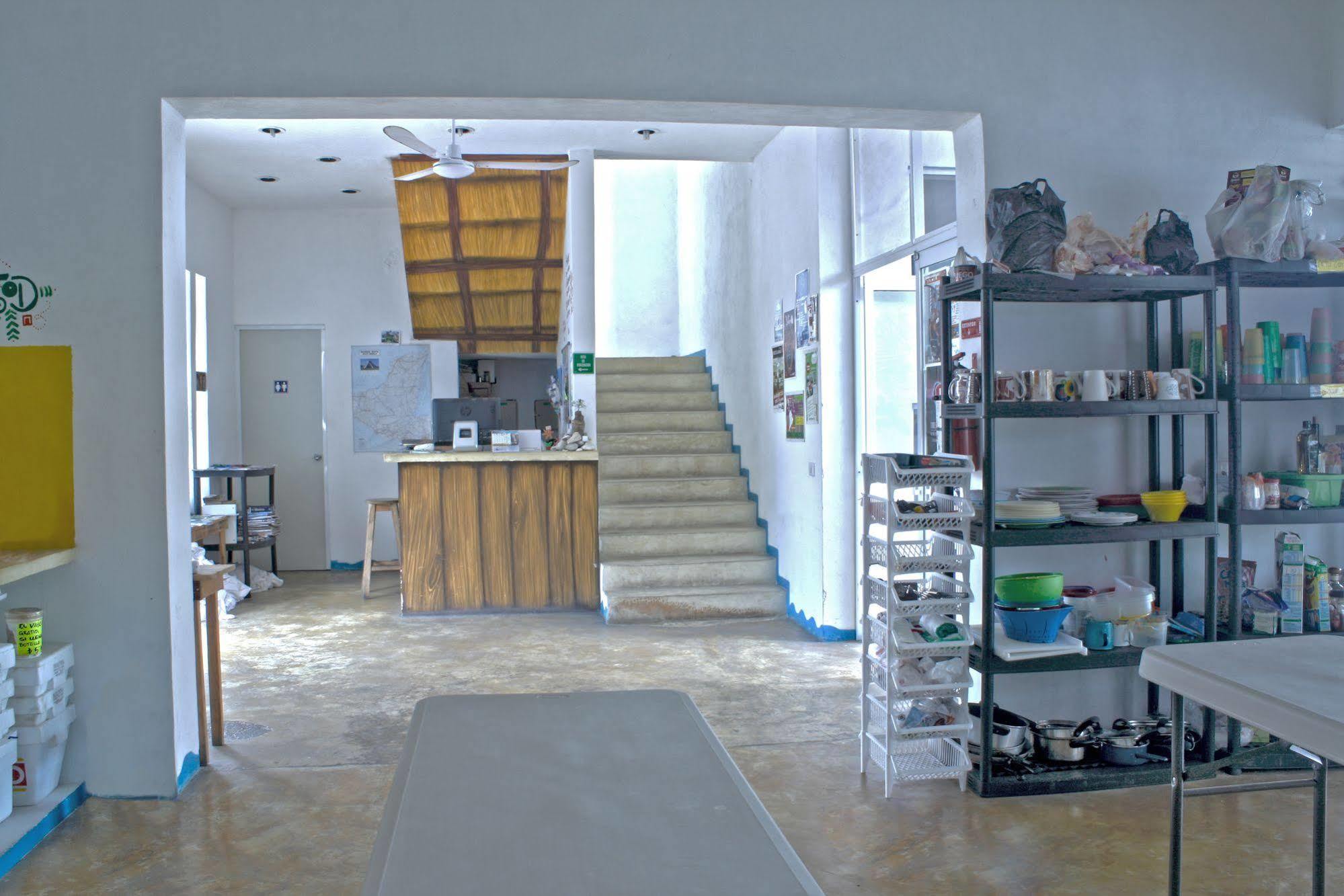 Hostal Vive La Vida Playa del Carmen Exterior foto
